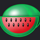 Hot Wild 20 Paytable Symbol 7